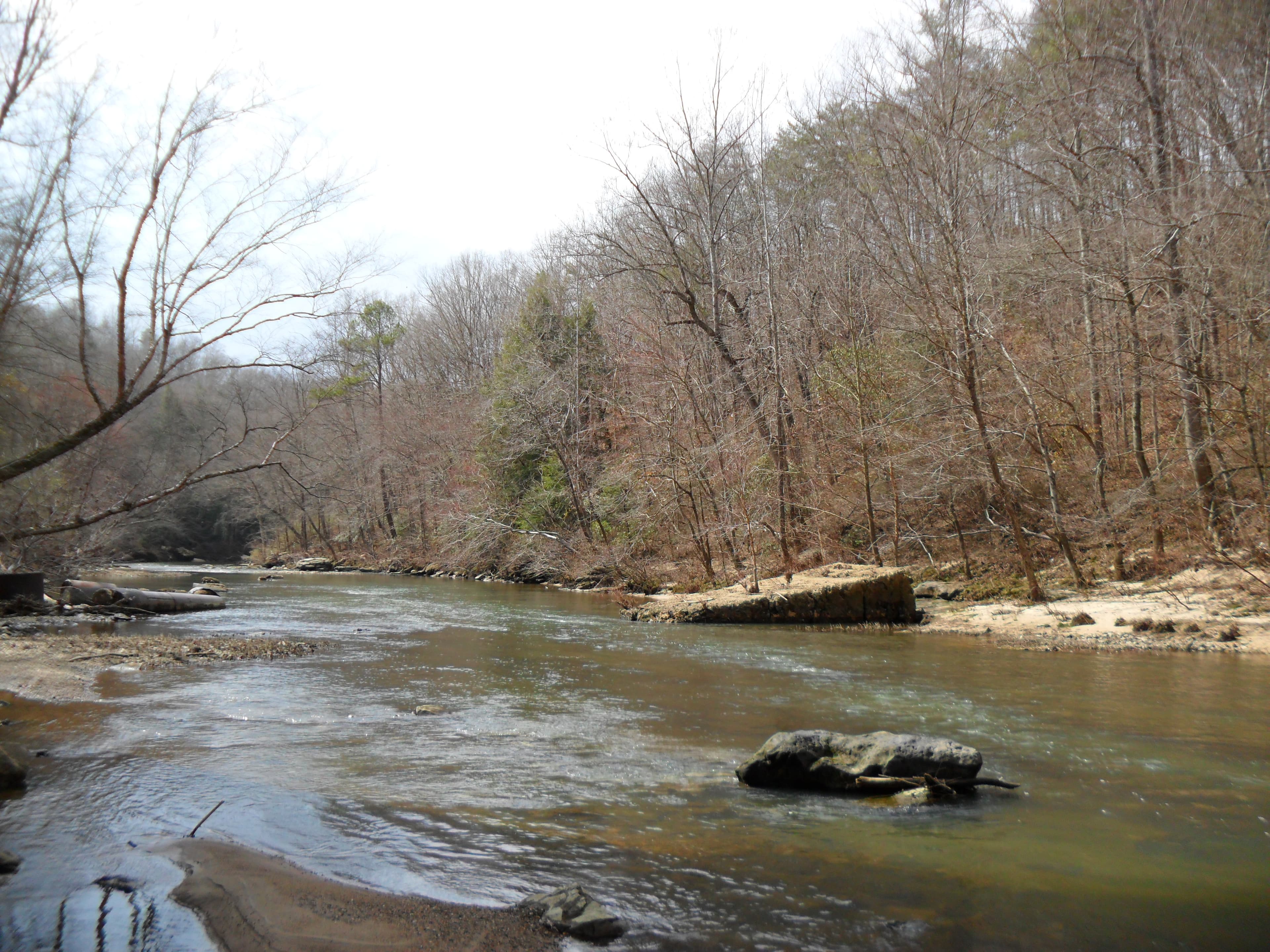 Bear Creek in Franklin County, Alabama — the parent watershed of Little Bear Creek Reservoir, photographed in the Bear Creek system near the four TVA reservoirs west of Russellville